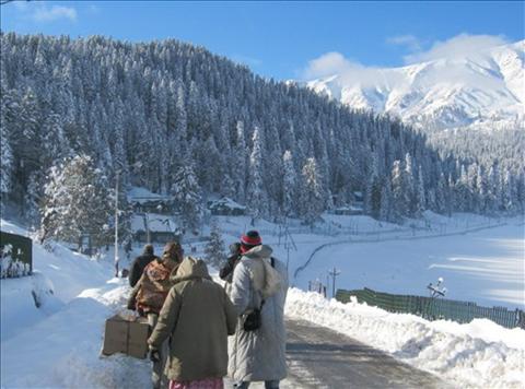 Beauty of Sonmarg